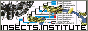 insects institute site banner